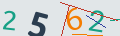 verifycode